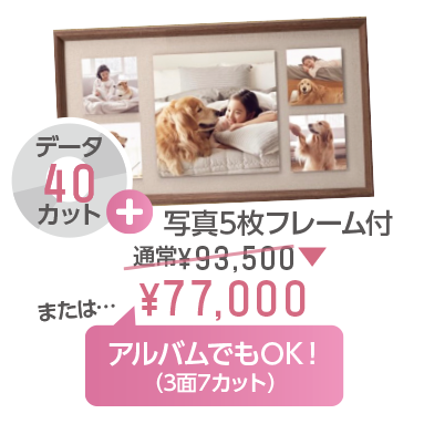 七五三応援キャンペーン