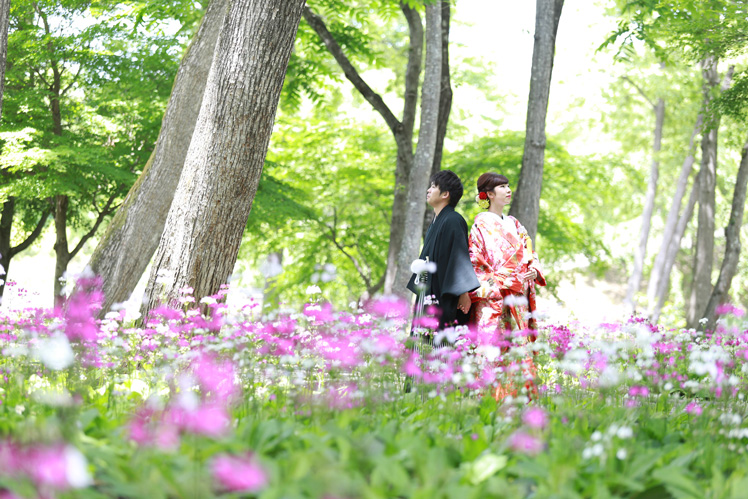 フォトギャラリー