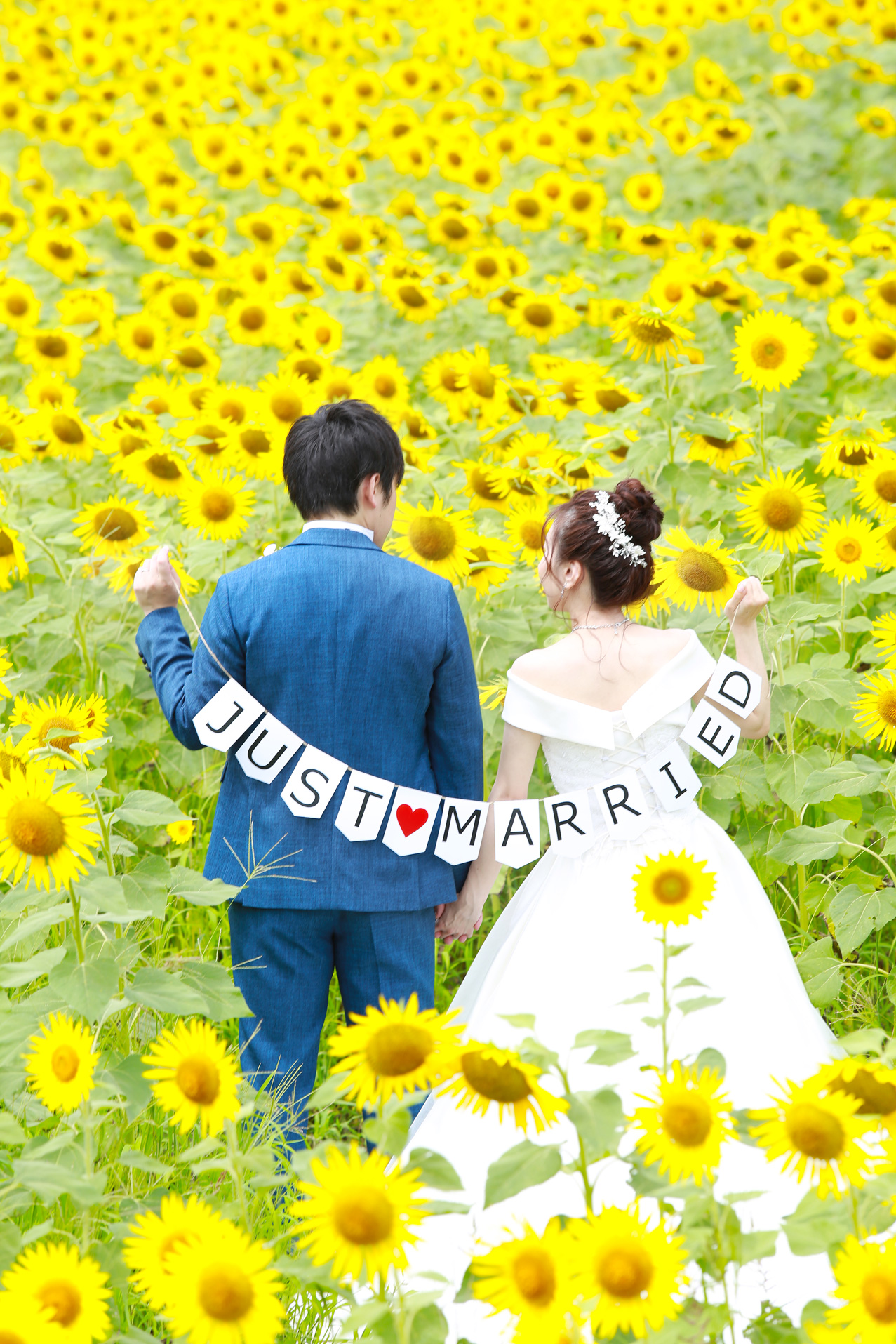 フォトギャラリー