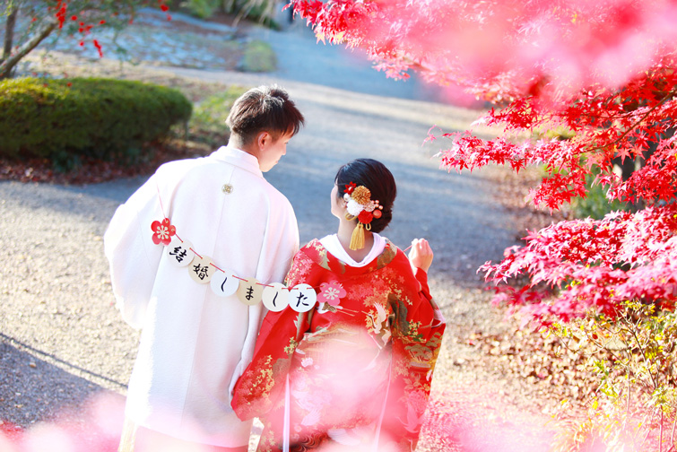 フォトギャラリー