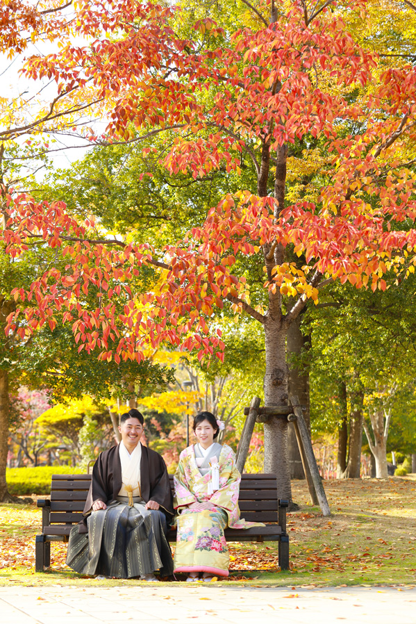 フォトギャラリー