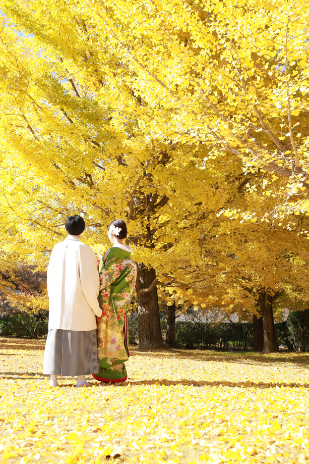 フォトギャラリー