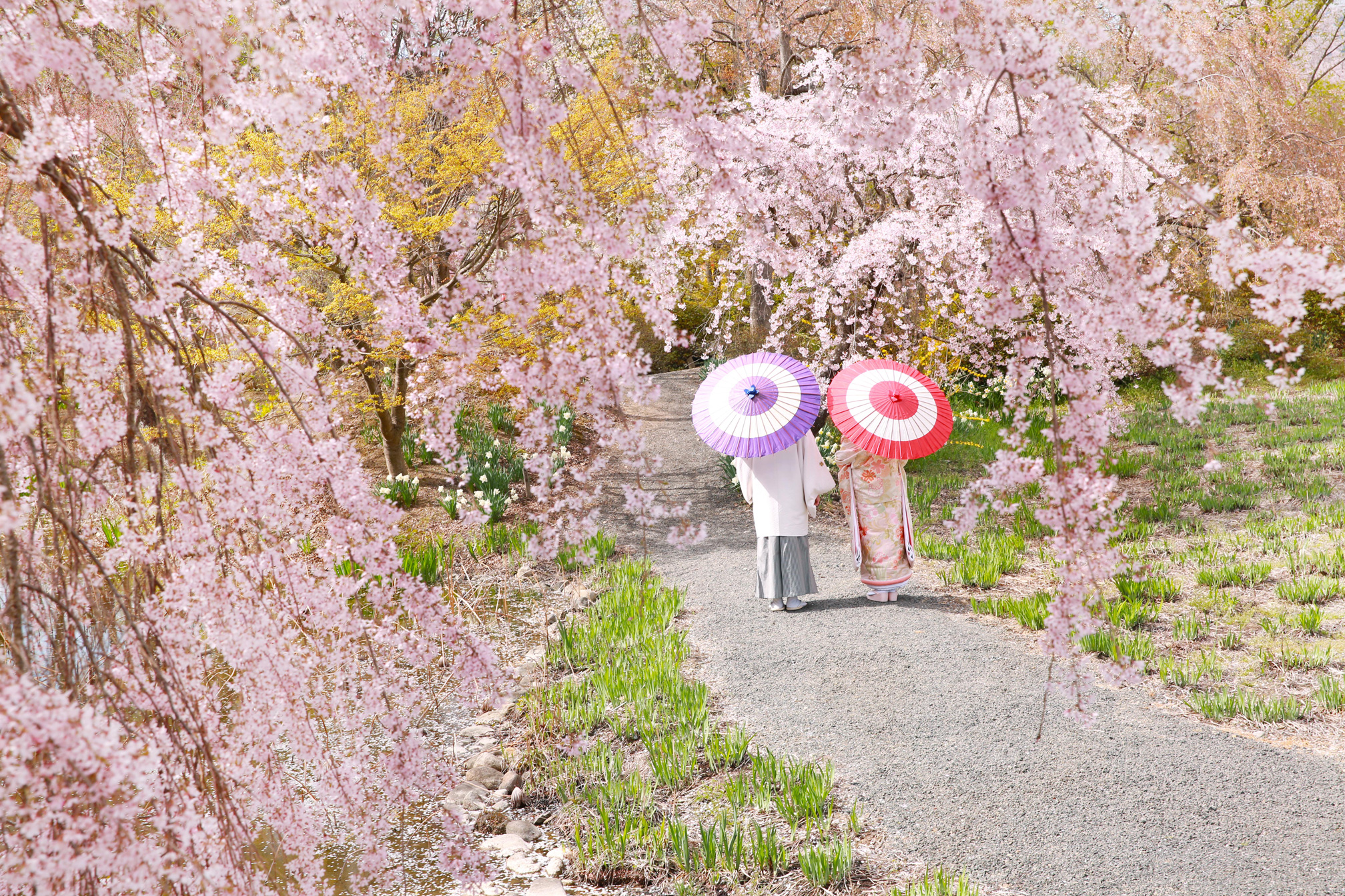 春のロケーションフォト